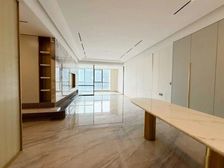 照母山核心 住宅大平层 单价8800起 现房!