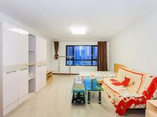 双卫 楼龄新 楼层好 满五 环境优美 南北通透 诚心出售