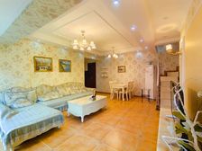 照母山 花园洋房精装入住 住在公园里的房子 地铁在旁边