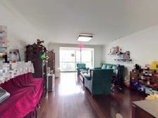 05年品质小区 电梯中区,直观滨江 带双阳台 近大木桥地铁口