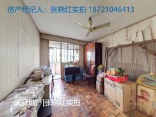 龙南三四村+0.5俑全明格局+交通便利+中楼层+南北通透