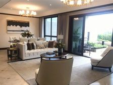 清盘处理 南山现房合院别墅 大花园露台 带电梯 14 大面宽