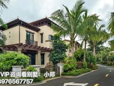海南自贸港 海口《南国威尼斯城别墅》254-261㎡独栋别墅