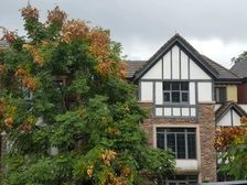 鸿恩之上 北滨之巅 保利内独栋别墅 业主急售 !!!