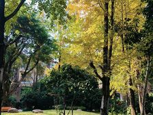 龙湖蓝湖郡 内圈联排中户 看中庭 急售