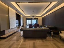 潮鸣平替大平层 豪宅范高区视野 看房方便