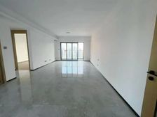 250可拿下 星河东悦湾 全新四房 业主急需套现 来电即看