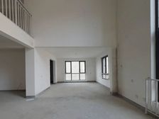 龙之梦西苑 叠拼 东边户 价格低 带车位 客厅挑高急卖