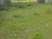 真实亲戚房子!江北市中心 豪华双拼大别墅 500平花园 5层