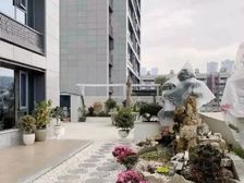 买露台送房子了,露台百十来个平方,还有一个产权车位看中打包