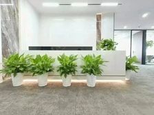 甲方直租丨武昌滨江丨汉街总部国际丨前程中心丨悦江中心355平