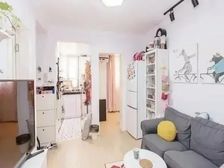 凉城公园对面 华苑小区 一楼带花园 南北全明两房 急售