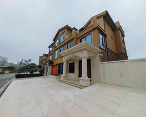梅溪湖一期地铁口,振业城别墅 送全明地下室 送花园 价格好谈