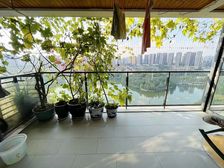 还不起月供了 金科云湖天都 精装4房 随时看房 环境好