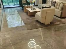 虎门和府在卖豪宅 东方美学中式园林 繁华地段 靠近万达