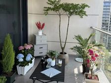 新上笋盘 近万达商圈 (来电送车位)全新未入住 丽恒阁
