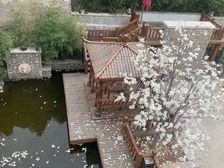 新出炉,靠山别墅,1091万,精装,揽山景,280多平,仅此