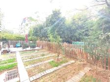 新出,洋房,1楼,赠大院子,311平,1220万,急售。