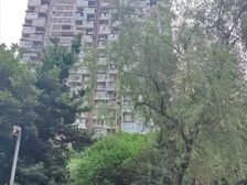 急50万可按揭!6号线地铁!仅契税!上锦颐园佳境13