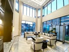 莲湖山庄独栋别墅 双层大花园带泳池 带大车库 急售价格可谈