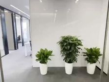 四川北路地铁口,高性价比!拎包入住!仅剩后几套!手慢无!