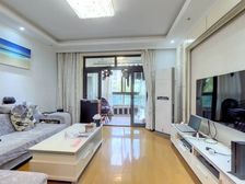 星云苑 南北通2+1格局好,采光好,不靠马路高架 可拎包入住