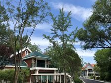 北四环 奥森独栋出租 整栋 带车位 挨着公园