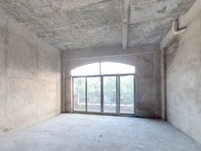 三水丽日天鹅湖联排别墅 单边户花园约300平 随时看房