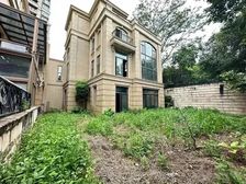 光大一手保留单位 独栋别墅 密度