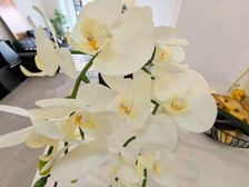 杨家坪步行街 精装三房 闹中取静 给家人温馨的家