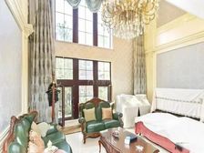 新区大面宽独栋 精装修 即买即住 南向挑空客厅