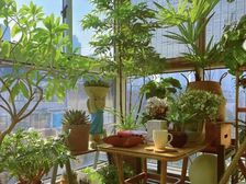 云山诗意 商业配套成熟 精装可拎包入住 小三居 带电梯