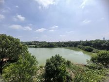 红谷滩千平大花园临湖稀缺别墅,一线湖景,带车库地下室,急售