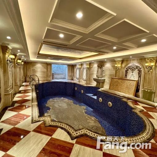 高端接待 自住 室内泳池 私家电梯 看房随时在租在售都可看!