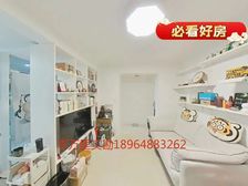 金杨南北两房,精装出售,楼层好,看房方便,看中有惊喜