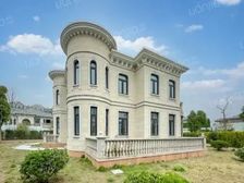 真实在售!花园1000平,毛坯独栋,大豪山林,随时可看