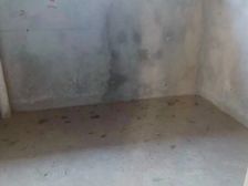 CBD瑞府独栋别墅 带大花园 生活配套成熟 户型方正大气