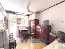 田林十二村1居27.59平南朝向视野开阔采光好