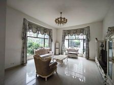 碧桂园假日半岛310方独栋东南向大露台带车库急售