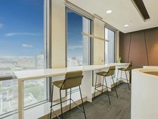 外交办公大楼 雷格斯联合办公月度5天通勤卡一价全包专业办公