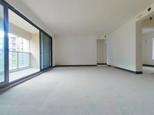 渝北区 香港置地衿湖翠林公园8号 四房 247万