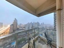 海悦明星楼盘 全屋品牌豪装 人车分流 中海物业 有产权车位