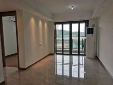 金泽豪庭 新塘白江 精装南向 业主包税诚售包税 可谈价送物业