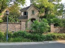 重庆十大豪宅独栋东南亚风2+1全彩光单层150临湖视野大花园