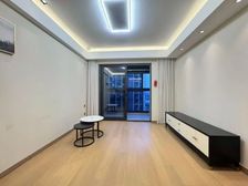 万科商场旁刚需两居 精装好房 商品房 出行方便近地铁 楼层好