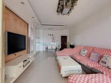 彩蝶花园 4室1厅 南