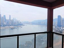 南滨路 水岸 看江头排 无遮挡 板式结构南北通透户型