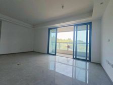 巴忠旁 精装三房 大横厅 品质洋房 80万