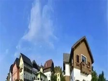 真实亲戚房子!奥地利风情小镇!200平花园!使用面积大!