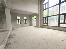 独栋大别墅 天骄御峰 使用率800平 上下5层 带4个车位